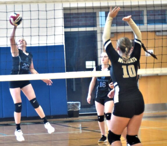 MiddWestHalifax volleyball gallery News, Sports, Jobs The Sentinel